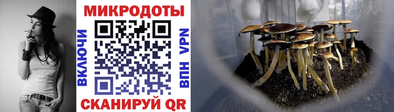 Галлюциногенные грибы мицелий  Жуковка 